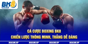Cá cược boxing bk8