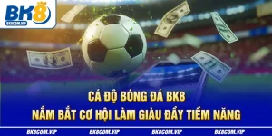 Cá độ bóng đá